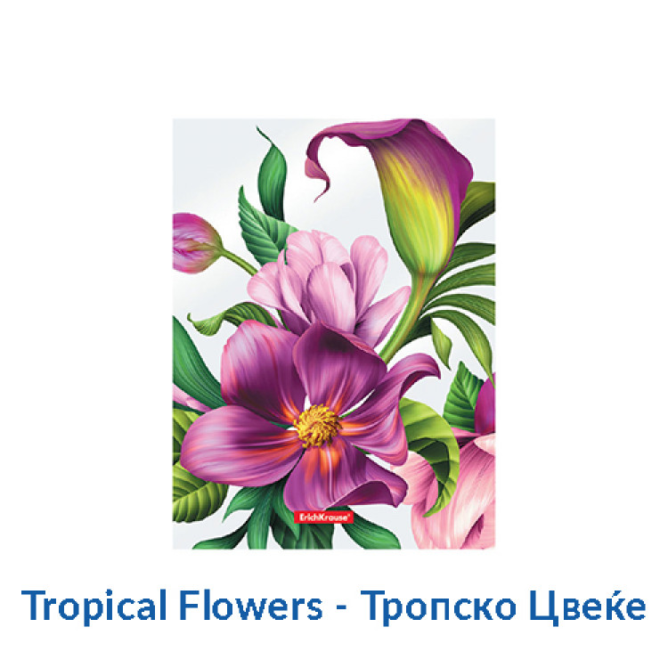 Папка со клип мет. механизам шарена Erich Krause